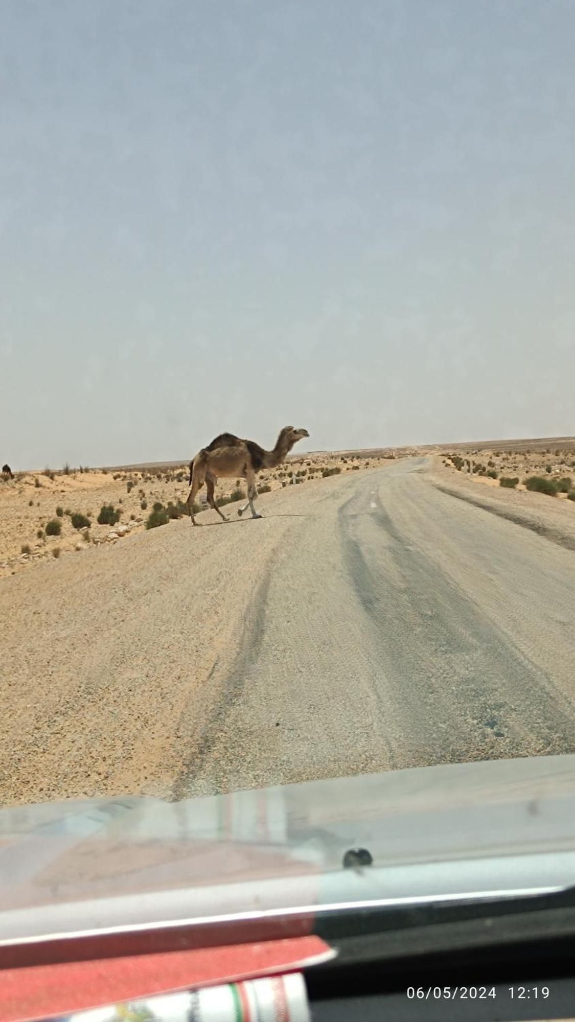 Dar Lagune Djerba Vue De Mer Al Haddadah Eksteriør billede