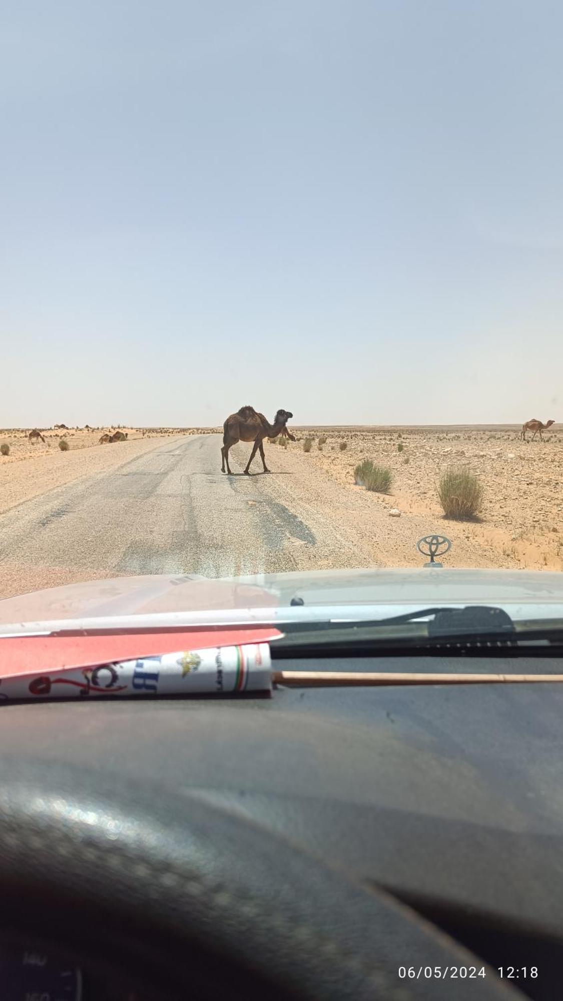 Dar Lagune Djerba Vue De Mer Al Haddadah Eksteriør billede