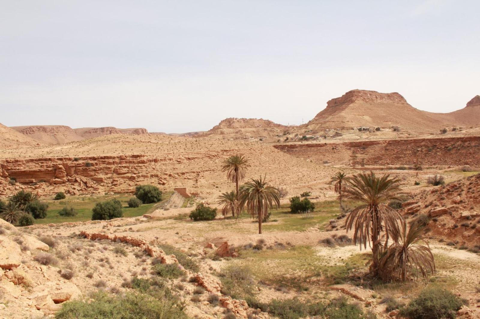 Dar Lagune Djerba Vue De Mer Al Haddadah Eksteriør billede