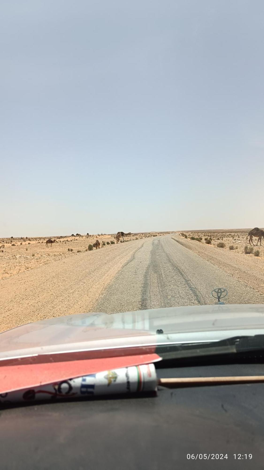 Dar Lagune Djerba Vue De Mer Al Haddadah Eksteriør billede