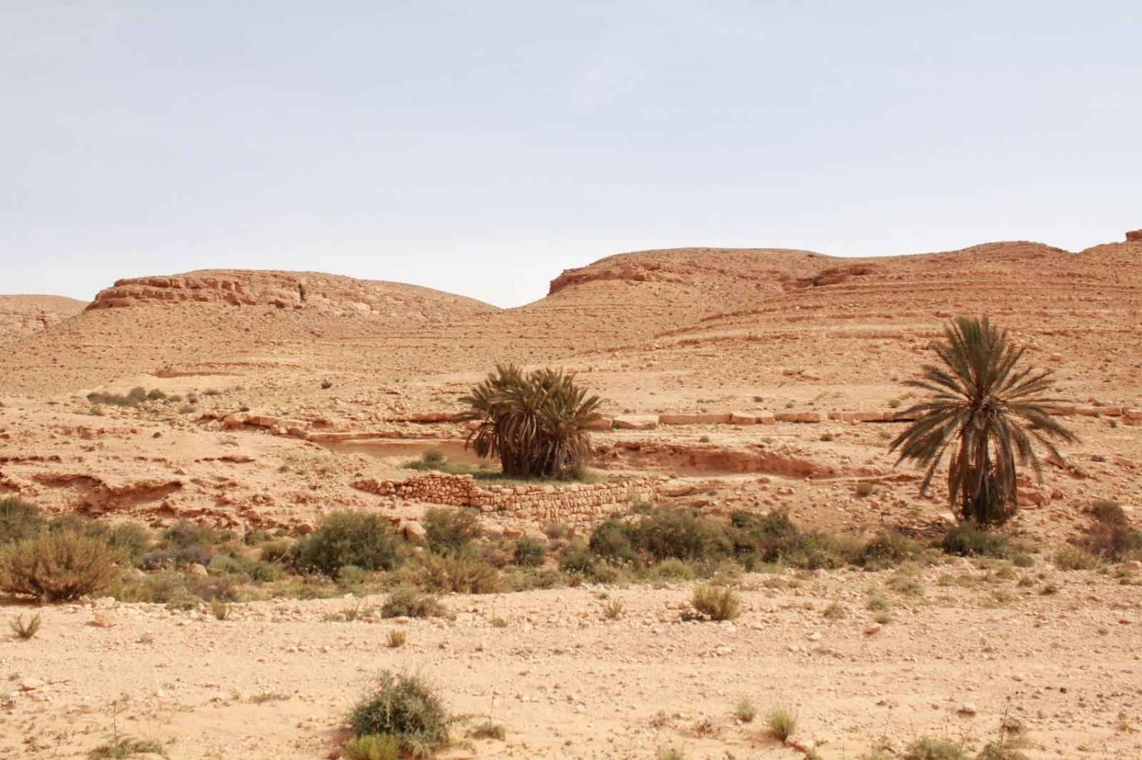 Dar Lagune Djerba Vue De Mer Al Haddadah Eksteriør billede