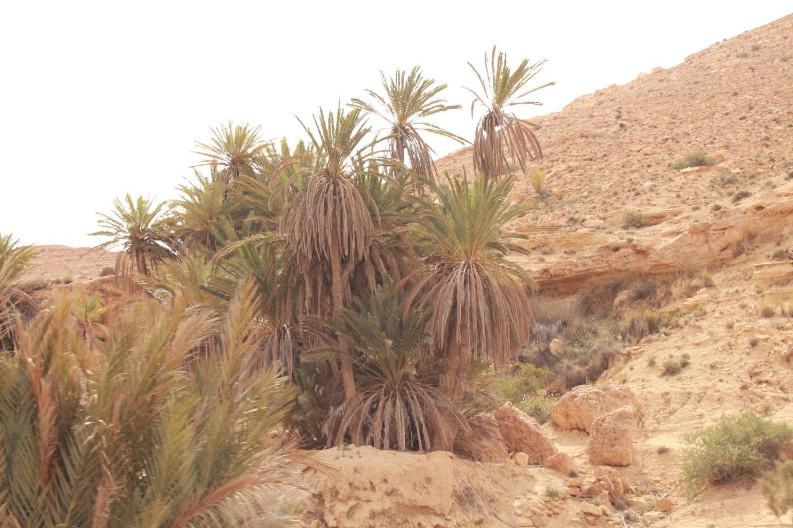 Dar Lagune Djerba Vue De Mer Al Haddadah Eksteriør billede